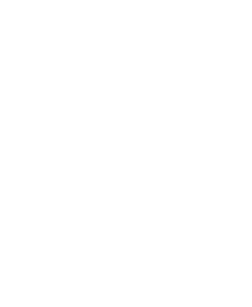 foot_logo