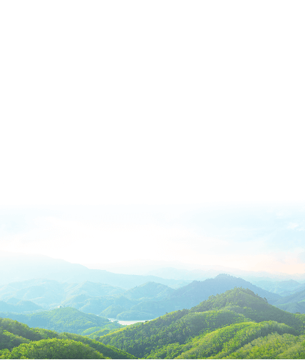 雲智 圖片